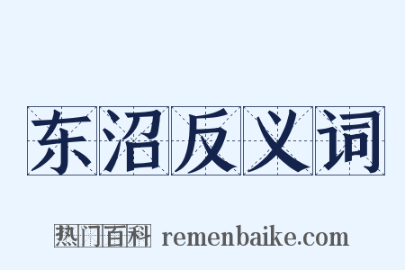 东沼反义词是什么意思的图片
